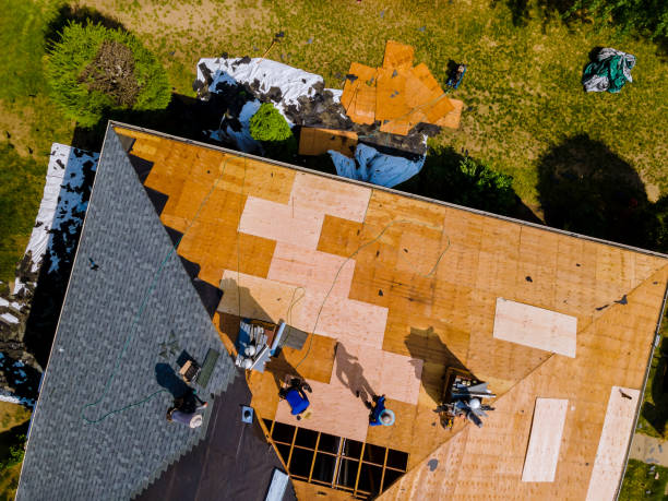 Roof Gutter Cleaning in Lake Hamilton, FL